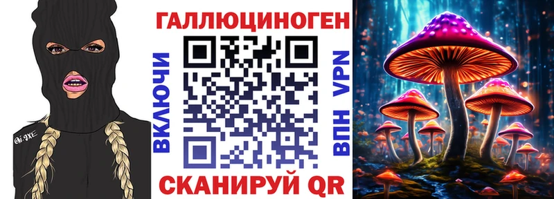 где купить наркоту  Бирск  hydra сайт  Псилоцибиновые грибы Psilocybe 